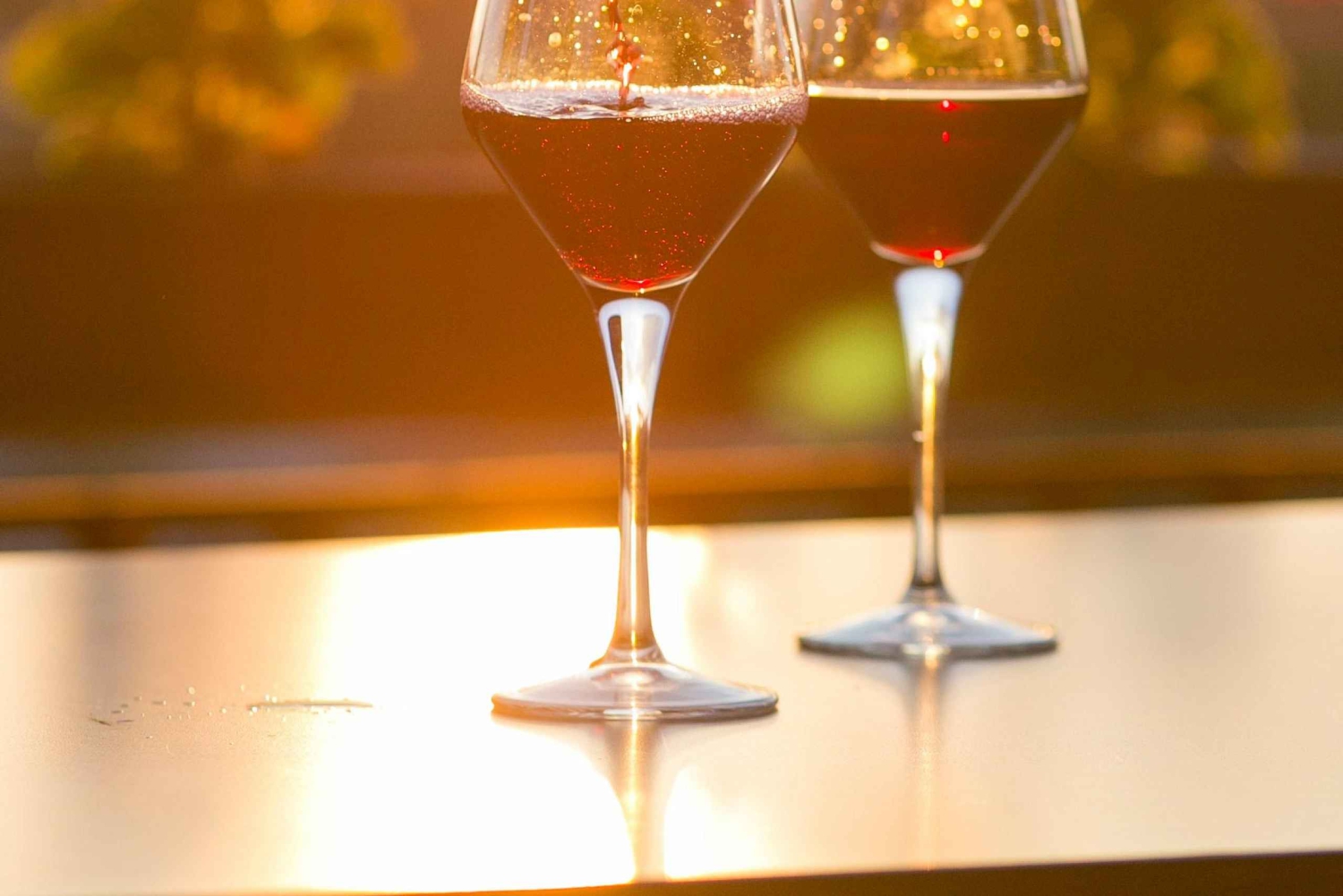 Privat omvisning på vingård