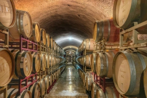 Tour privado de la bodega