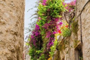 Día de la Provenza, Saint Tropez Grimaud pueblo Degustación de vinos