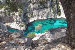 Provence privat rundtur: Aix-en-Provence, (Marseille) & Cassis