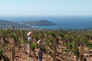 Privéreis Provence: Aix-en-Provence, (Marseille) & Cassis