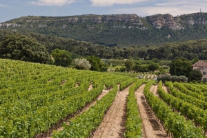 Privéreis Provence: Aix-en-Provence, (Marseille) & Cassis