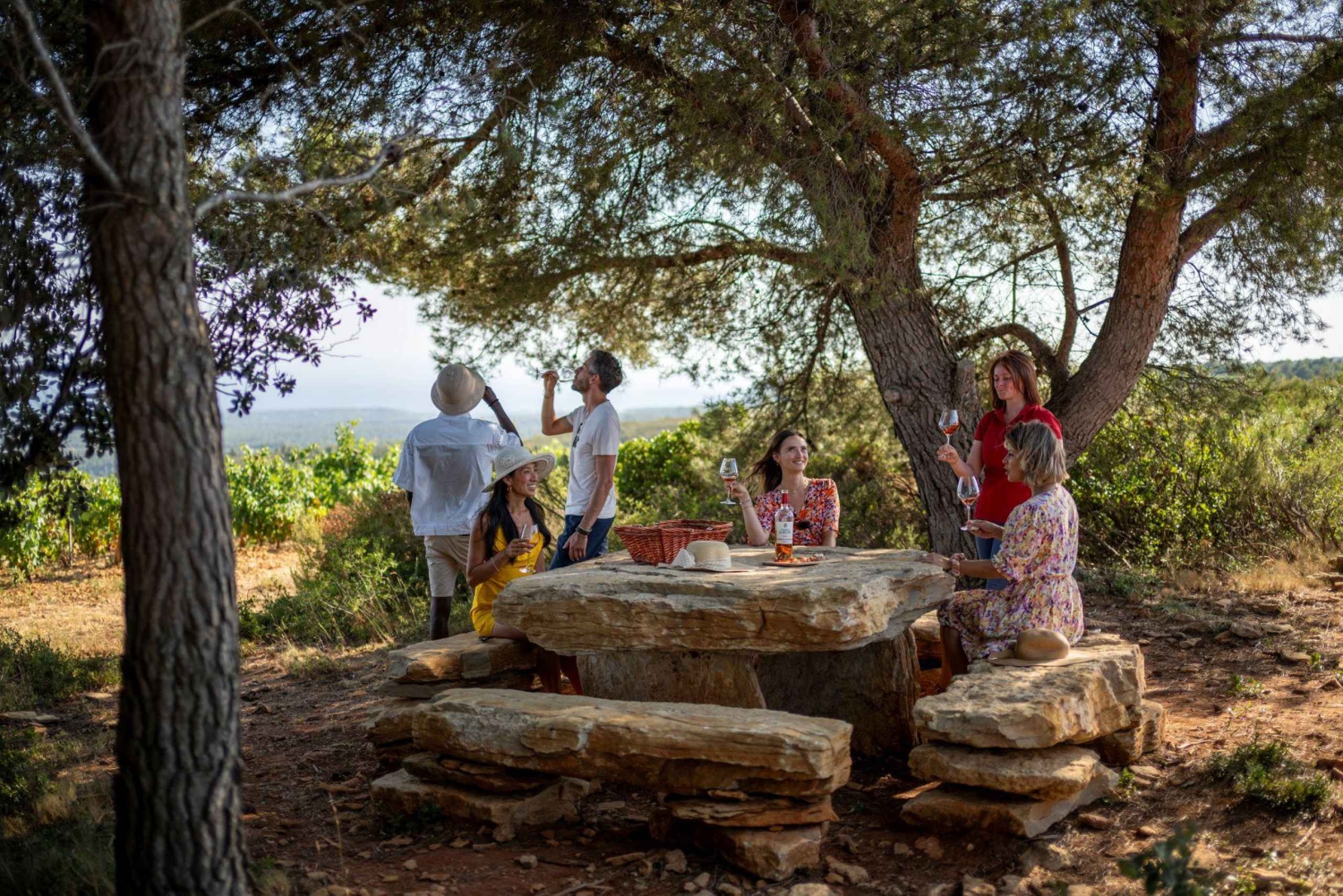 Provence Wine Tour - Private Tour from Nice