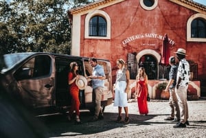 Tour del vino in Provenza - Tour privato da Nizza