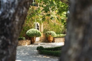 Visite des vins de Provence - Visite privée au départ de Nice