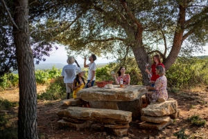 Provence Wine Tour - Private Tour from Nice