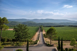 Provence Wine Tour - Private Tour from Nice