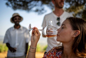 Provence Wine Tour - Private Tour from Nice