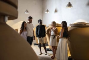 Vintur i Provence - lille gruppetur fra Cannes