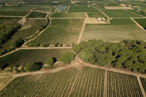 Vintur i Provence - lille gruppetur fra Cannes