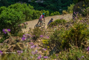 Ramatuelle: Gulf of Saint-Tropez Electric Mountain Bike Tour