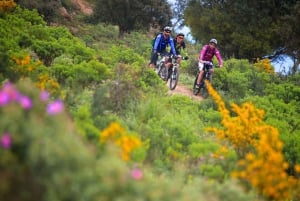 Ramatuelle: Tracks & Tasting Winery Tour by Mountain E-Bike