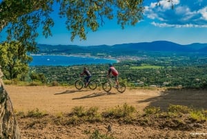 Ramatuelle: trilhas e degustação de vinhos em uma mountain bike