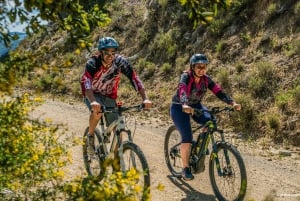 Ramatuelle: Recorrido y degustación por bodegas en bicicleta eléctrica de montaña