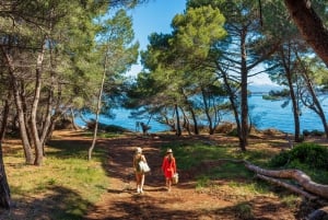 Fra Cannes: Ferge tur-retur til Ste. Marguerite Island