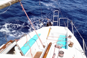 プライベートセーリング＆プロヴァンス風ピクニック