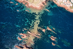 Сен-Рафаэль: Круиз на лодке и купание в бухтах Эстереля