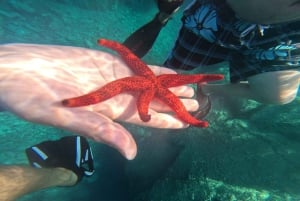 Сен-Рафаэль: Круиз на лодке и купание в бухтах Эстереля