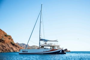 Saint Raphael: the 3 Capes Full Day and Meal Cruise