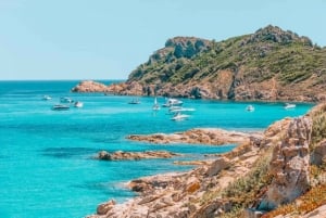 Saint-Tropez and Port Grimaud Full-Day Guided Tour