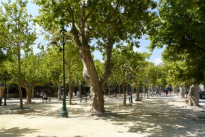 Saint Tropez og Port Grimaud: Heldagstur