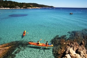 Saint-Tropez: Esperienza di kayak nella riserva di Ramatuelle