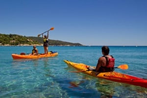 Saint-Tropez : Kayak dans la réserve de Ramatuelle
