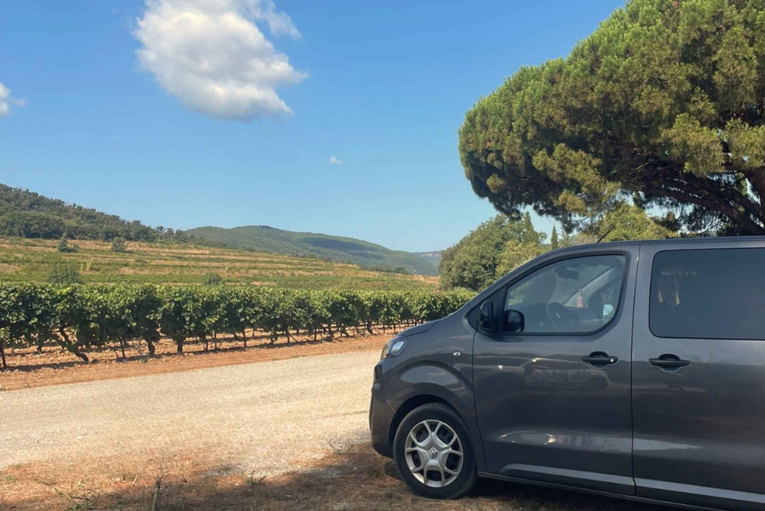 Saint-Tropez: Vintur med en lille gruppe