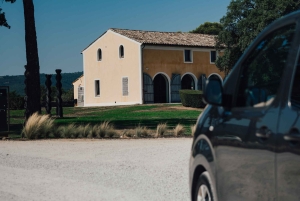 Saint-Tropez: Vintur med en lille gruppe