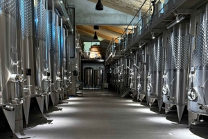 Saint-Tropez: Vintur med en lille gruppe