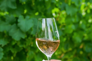 Saint-Tropez: Vintur med en lille gruppe