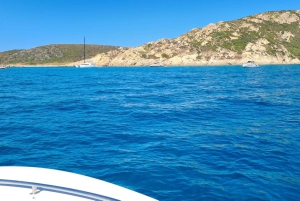 Sainte-Maxime: Golfe de Saint Tropez privat båttur