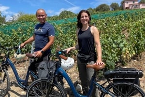 Tour guiado de E-Bike em pequenos grupos no vinhedo orgânico de Nice