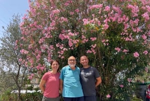 Visite en petit groupe guidée en E-Bike dans le vignoble bio de Nice