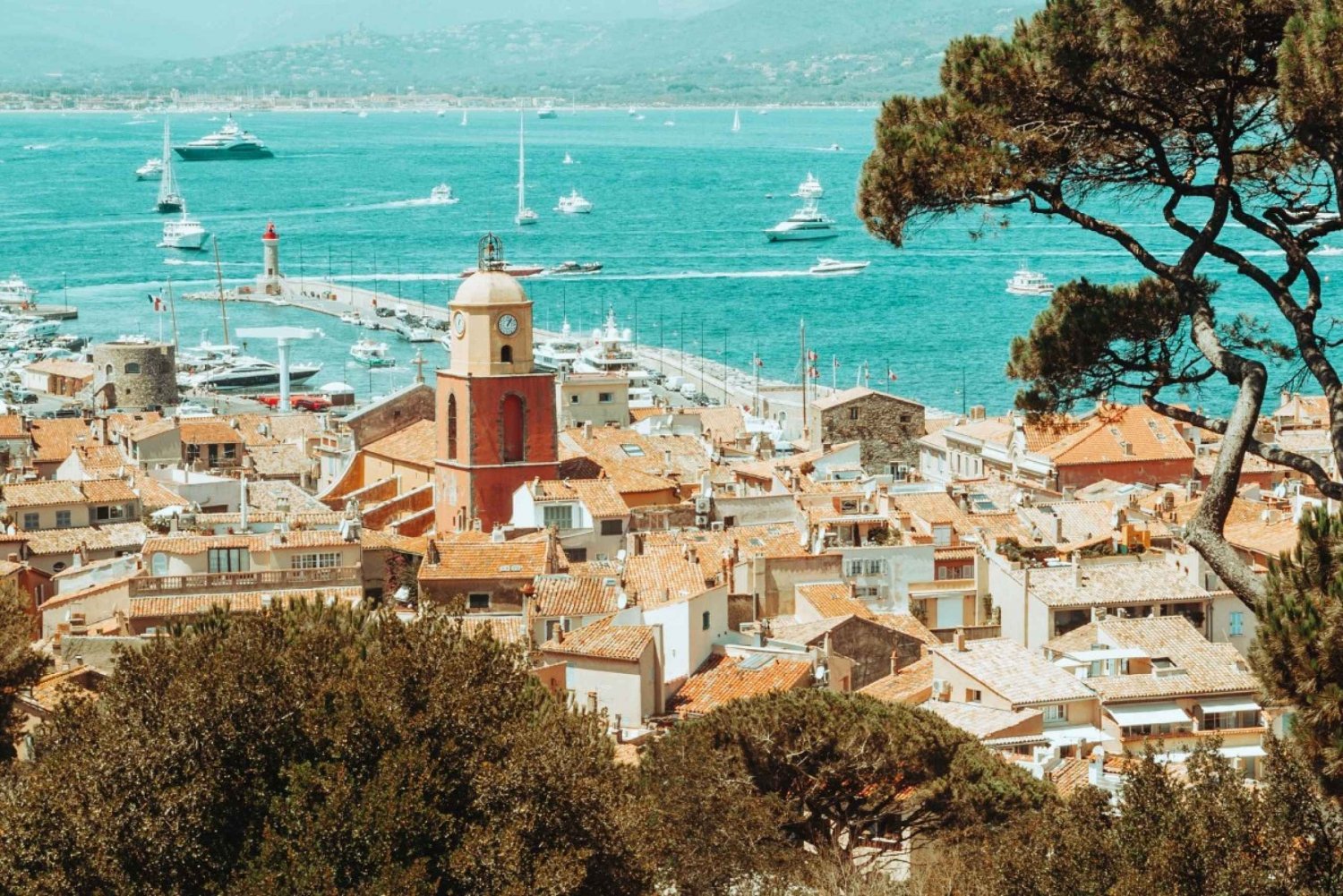 Small group wine tour from Saint-Tropez