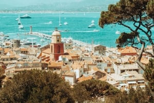 Saint-Tropez: Small Group Wine Tour
