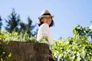 Small group wine tour from Saint-Tropez