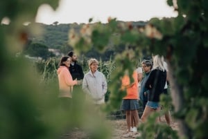 Tour per piccoli gruppi di vini da Saint-Tropez