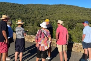 Wycieczka winiarska w małej grupie z Saint-Tropez