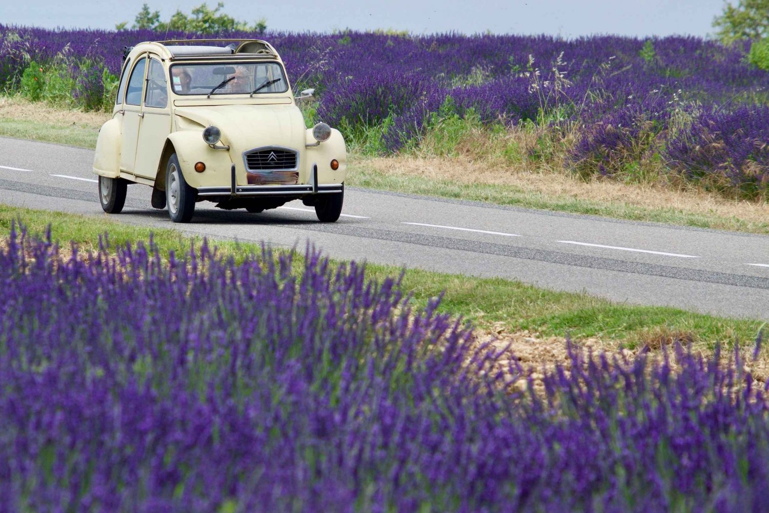 Das Beste der Provence: 4-tägige Tour