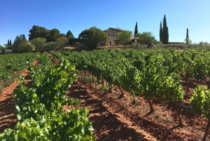 Das Beste der Provence: 4-tägige Tour