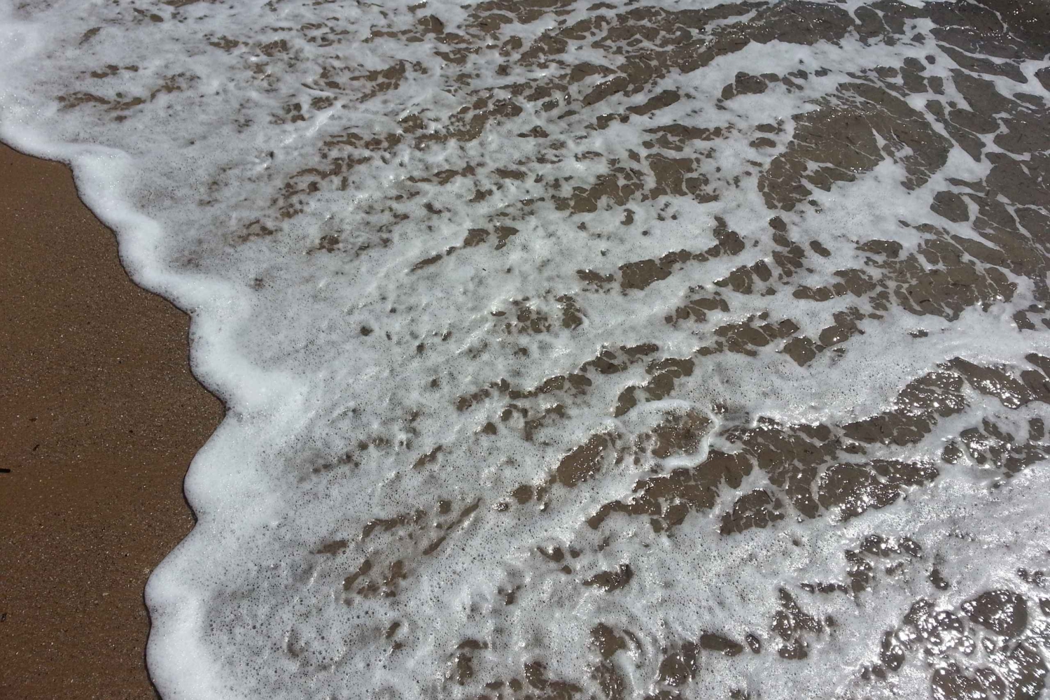 Den franske rivieraens magi: Heldags guidet tur