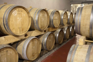 Toulon & St Tropez: Côtes-de-Provence 8-Hour Wine Tour