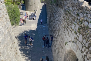 tour Cannes Antibes st Paul de Vence