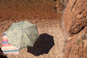 Tur i vintage Méhari mellom Nice, Eze og Monaco på Côte d'Azur