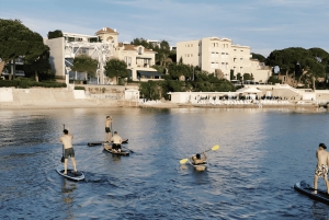 Transparentes Paddle Board mieten (Einsitzer)