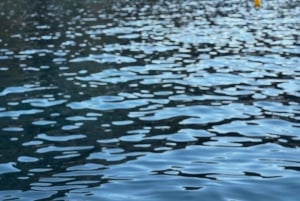 Unohtumaton veneretki