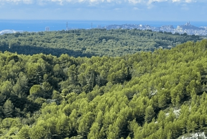 Unique Provence : Marseille, Allauch et Cassis en une journée