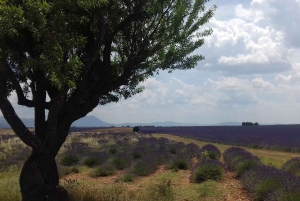 Wąwóz Verdon: Wielki Kanion Europy, jezioro i lawenda