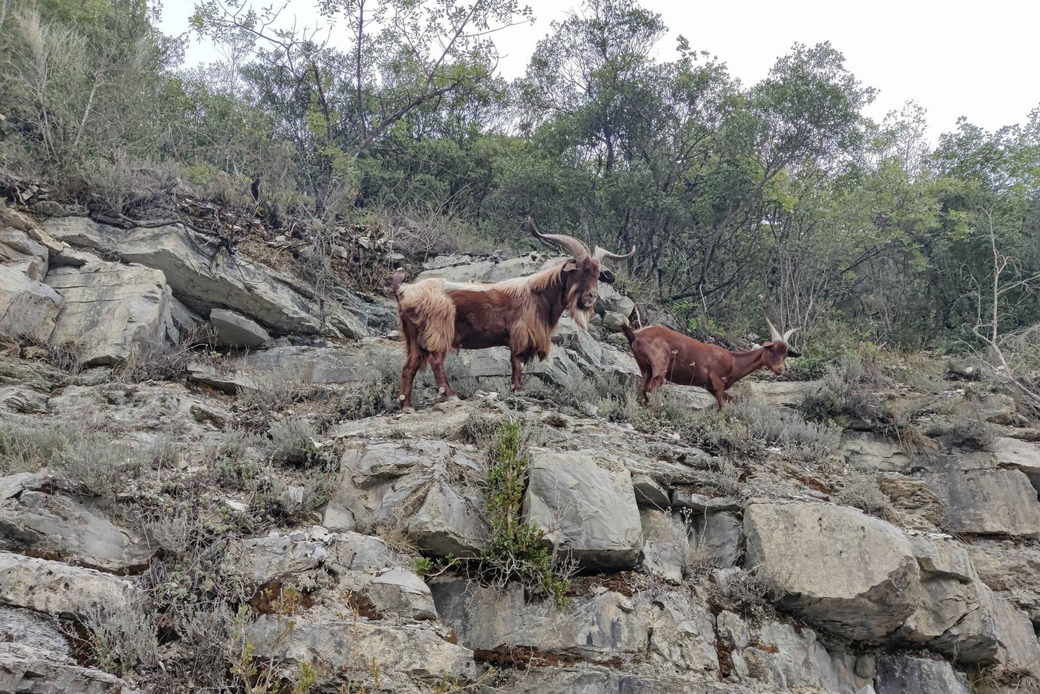 Escursione nella Valle della Vésubie da Nizza